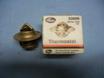 Studebaker Thermostat